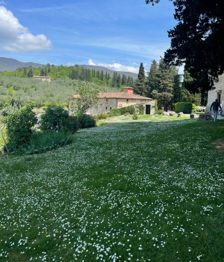 garden image